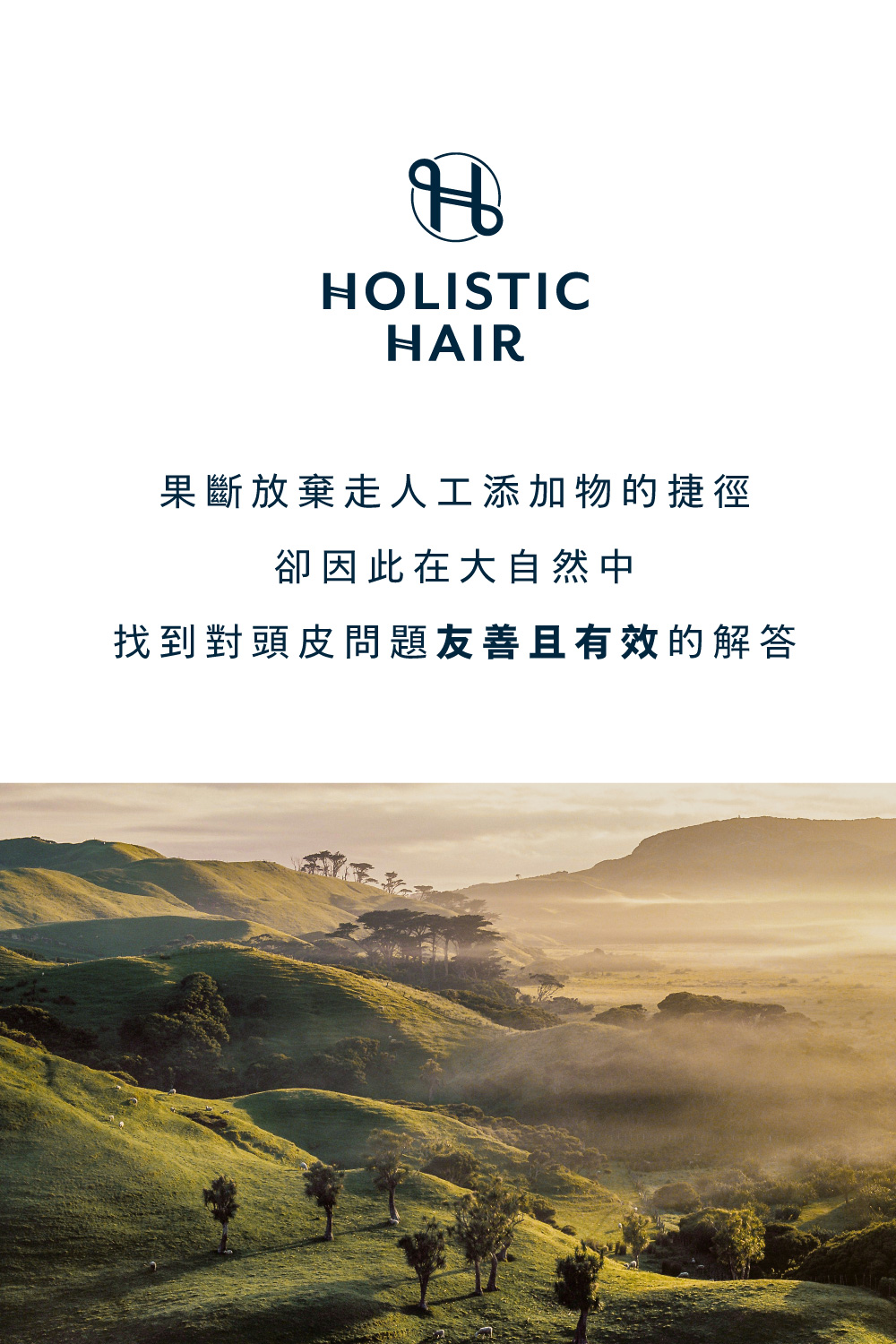 Holistic Hair果斷放棄走人工添加物的捷徑，卻因此在大自然中，找到對頭皮問題友善且有效的解答