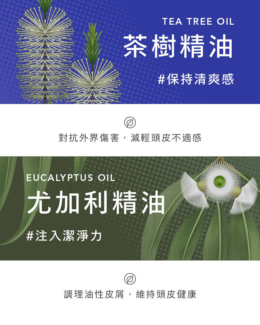 TEA TREE OIL茶樹精油#保持清爽感對抗外界傷害,減輕頭皮不適感EUCALYPTUS OIL尤加利精油#注入潔淨力調理油性皮屑,維持頭皮健康