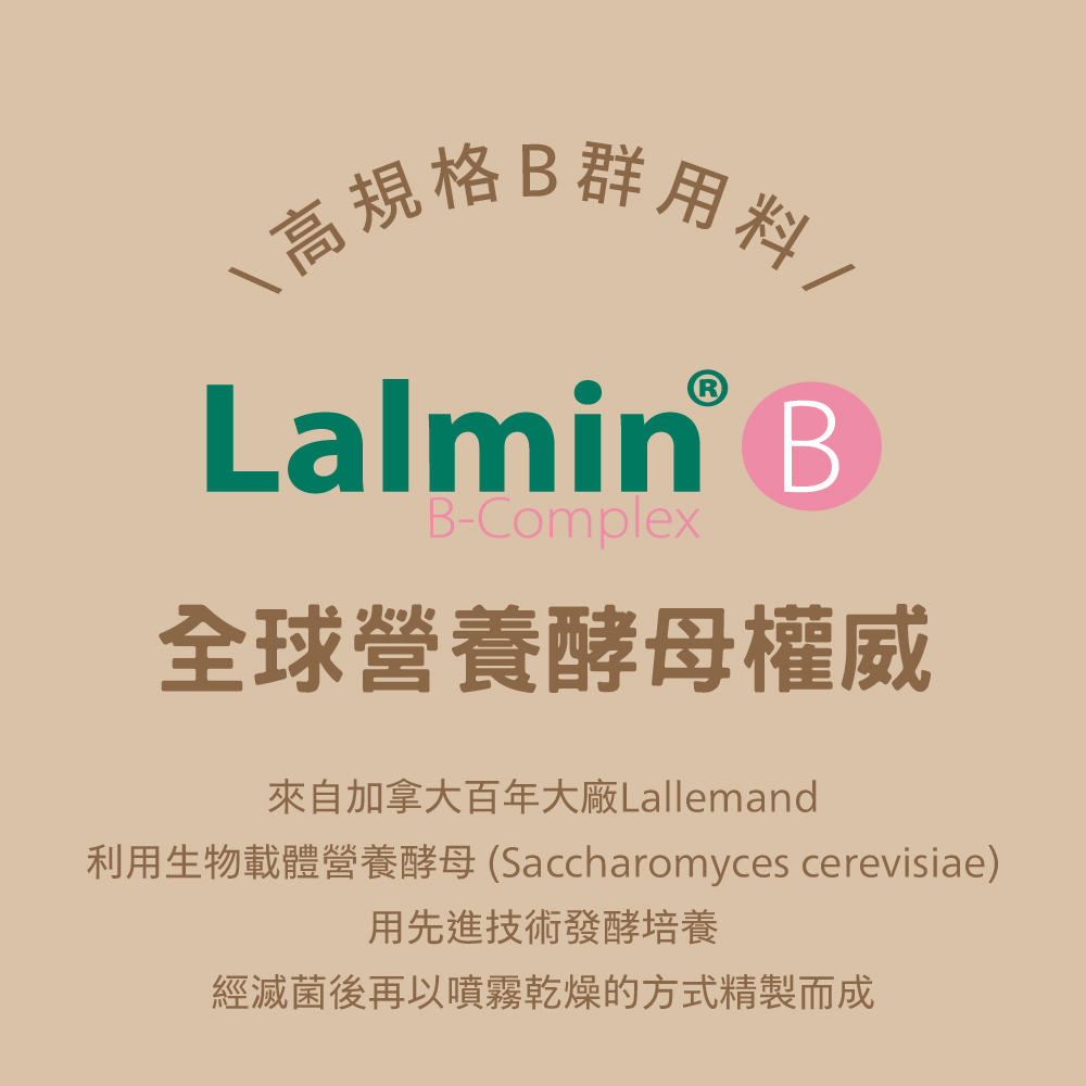 小蜜蜂膠囊B群來自全球營養酵母權威，加拿大百年大廠Lallemand製作的Lalmin B，是最有利於人體吸收的狀態。
