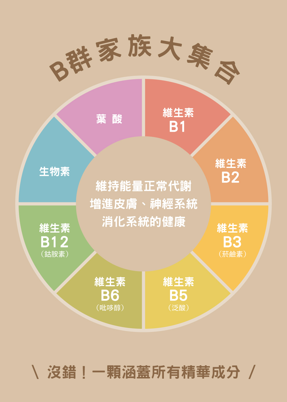 一顆一日安康B群包含維生素B1、維生素B2、維生素B3（菸鹼素）、維生素B5（泛酸）、維生素B6（吡哆醇）、維生素B12（鈷胺素）、葉酸、生物素，幫助維持能量正常代謝，增進皮膚、神經系統、消化系統的健康。