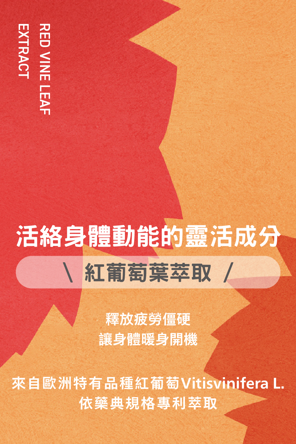 一日安康天然B群添加活絡身體動能的靈活成分-紅葡萄葉萃取
