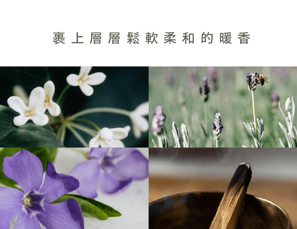 一日茶道白玉歐蕾奶香沐浴乳以桂花、喀什米爾薰衣草、紫羅蘭葉、爪哇檀香調製香氣，，散發充滿暖意的溫潤奶香