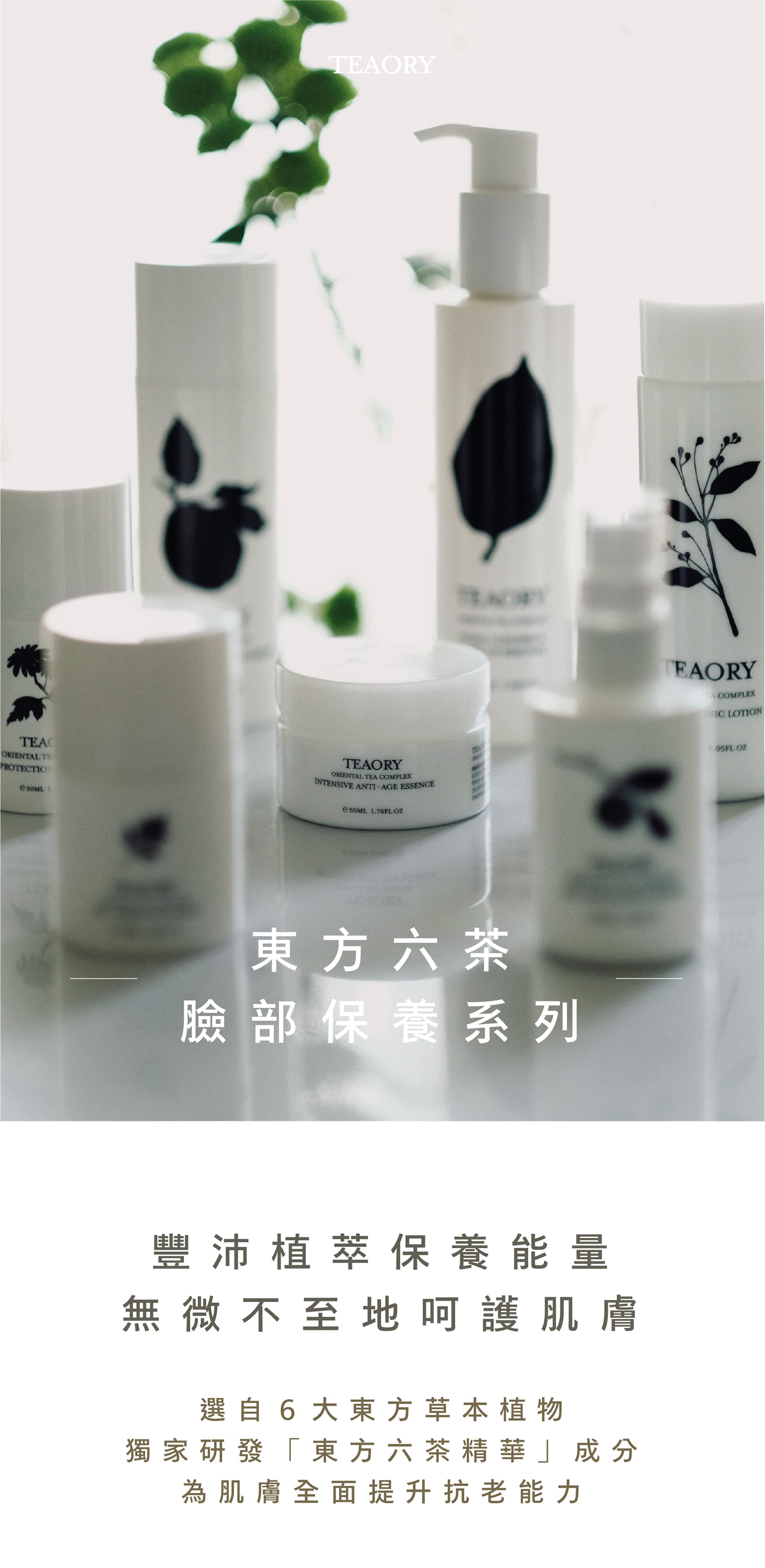 TEACORIENTAL TPROTECTION TEAORYORIENTAL TEA COMPLEXINTENSIVE ANTIAGE ESSENCE 50ML 1.76FL 東方六茶臉部保養系列豐沛植萃保養能量無微不至地呵護肌膚選自6大東方草本植物獨家研發「東方六茶精華」成分為肌膚全面提升抗老能力TEAORYCOMPLEX LOTION OZ