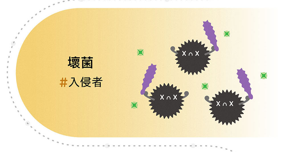 補充益生菌如同幫身體打怪！「防護力」與「消化道健康」息息相關，消化道健康，身體就勇健。