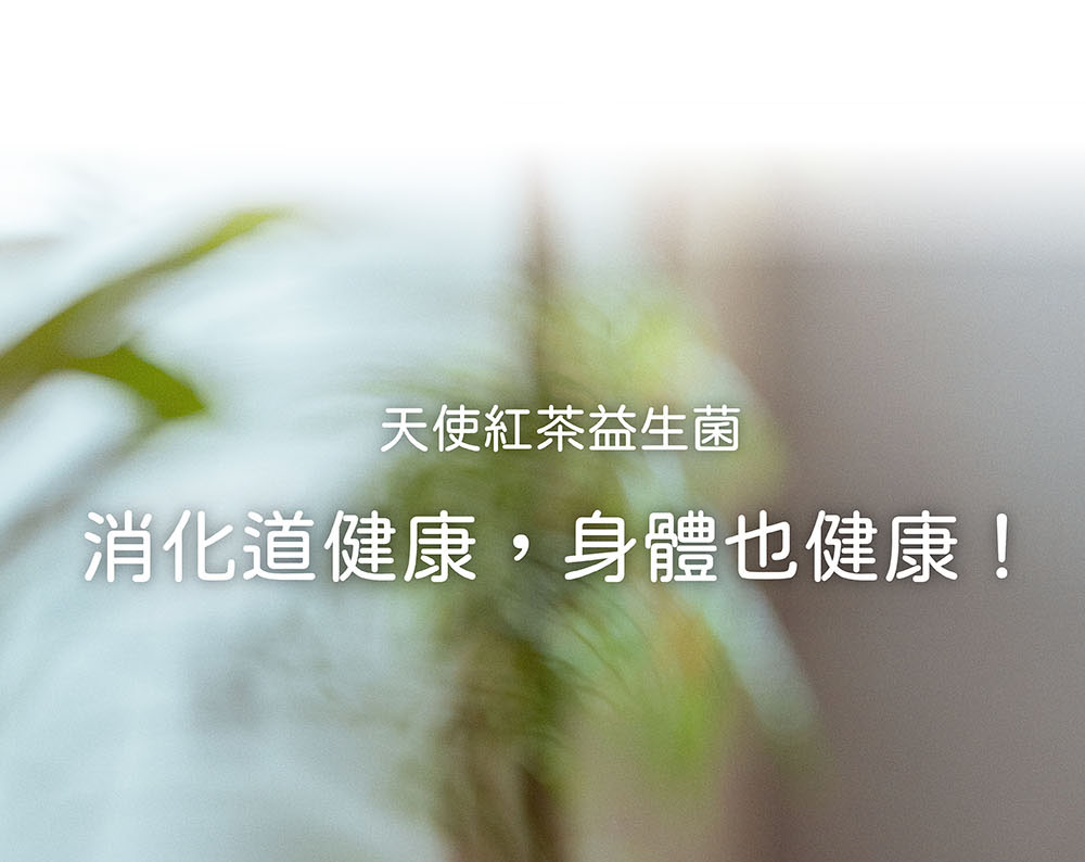 伊聖詩天使紅茶消化益生菌幫助營養補給、天天順暢、調整體質。消化道健康，身體也健康！