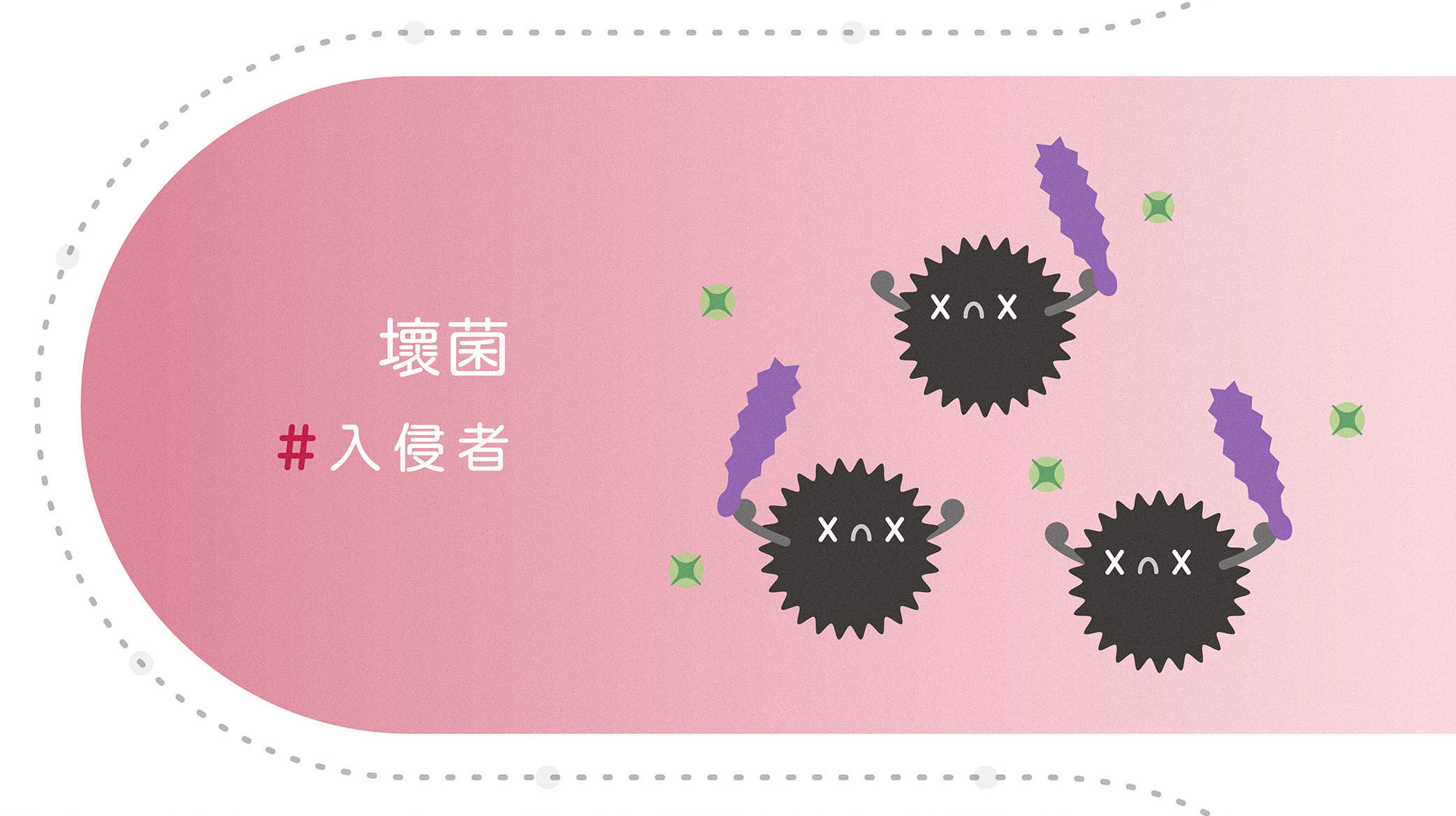 女性私密處有乳酸菌叢、壞菌、益生菌