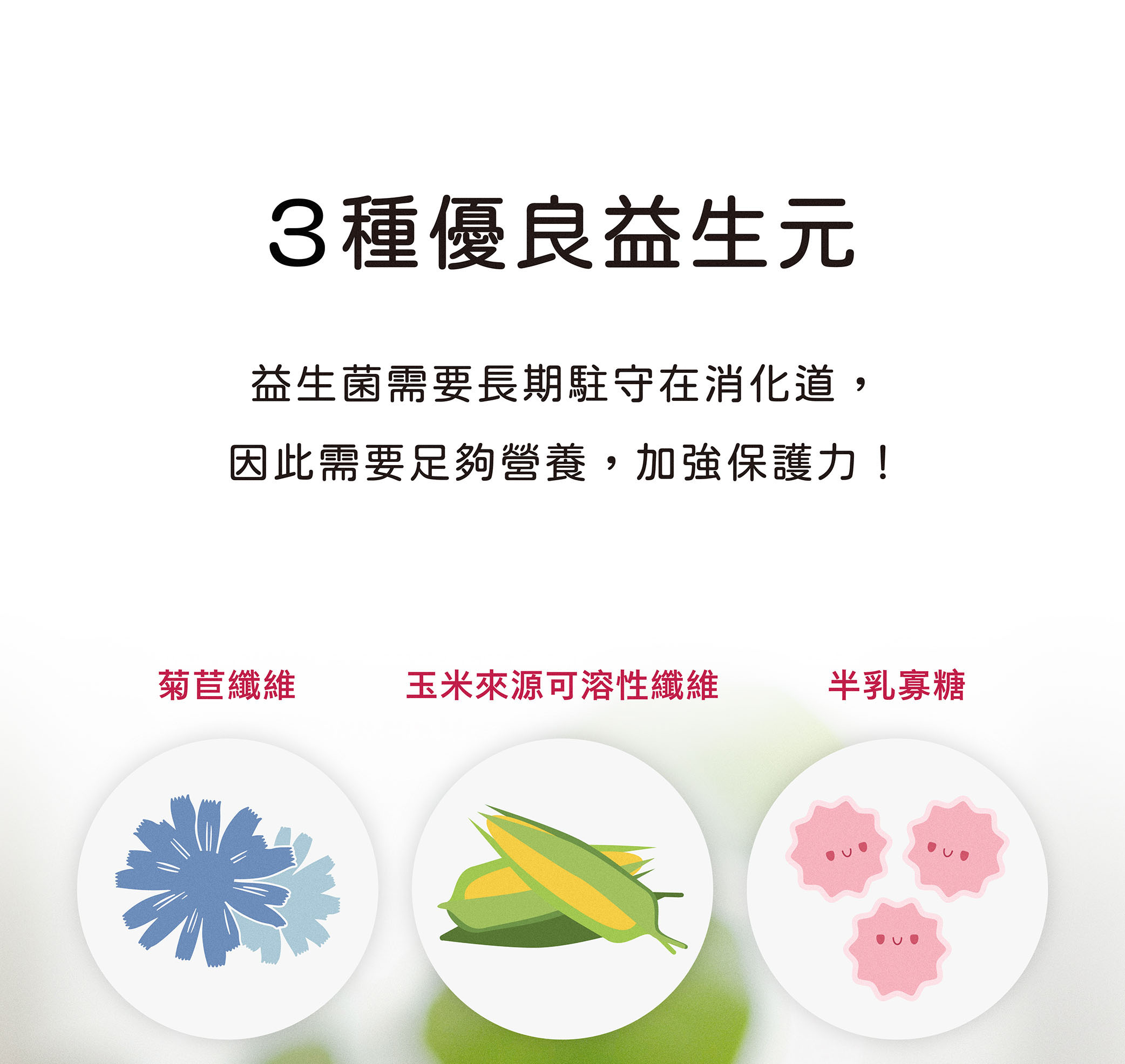 益生菌需要長期駐守在私密處，因此需要足夠營養，加強保護力！