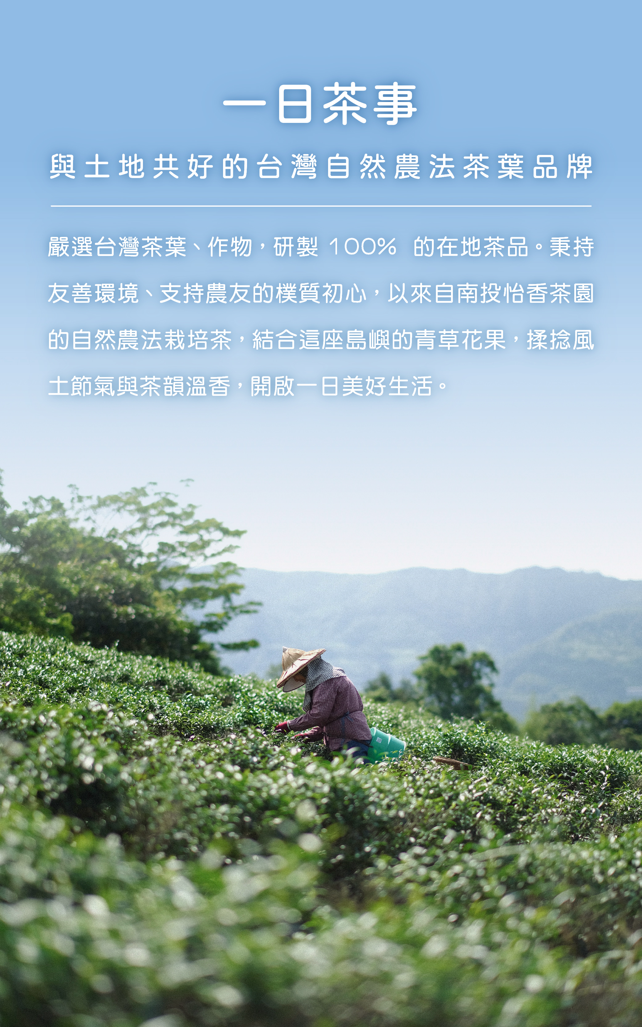 伊聖詩一日茶事，與土地共好的台灣自然農法茶品牌