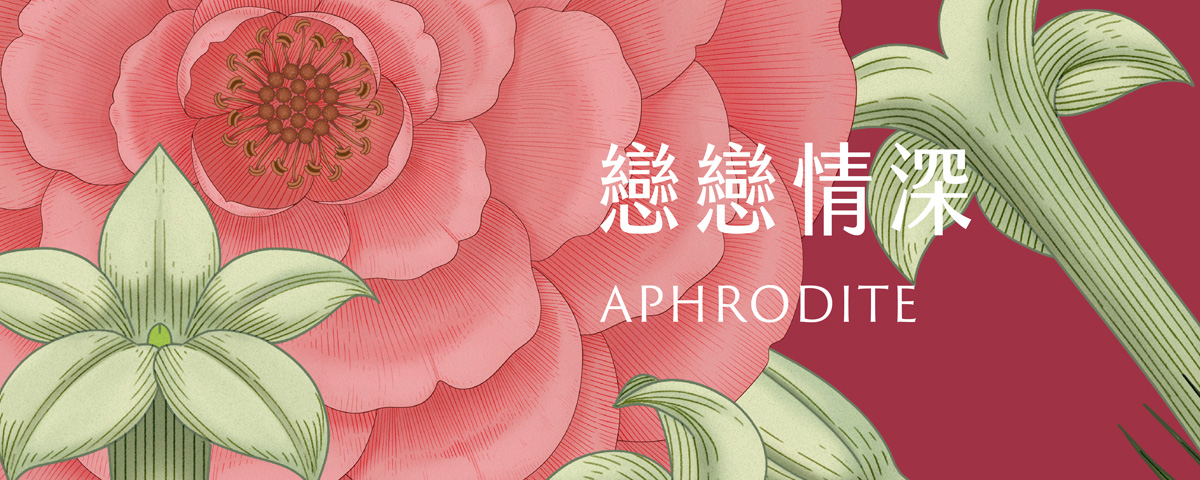 戀戀情深深層潤膚霜 Aphrodite Body Butter